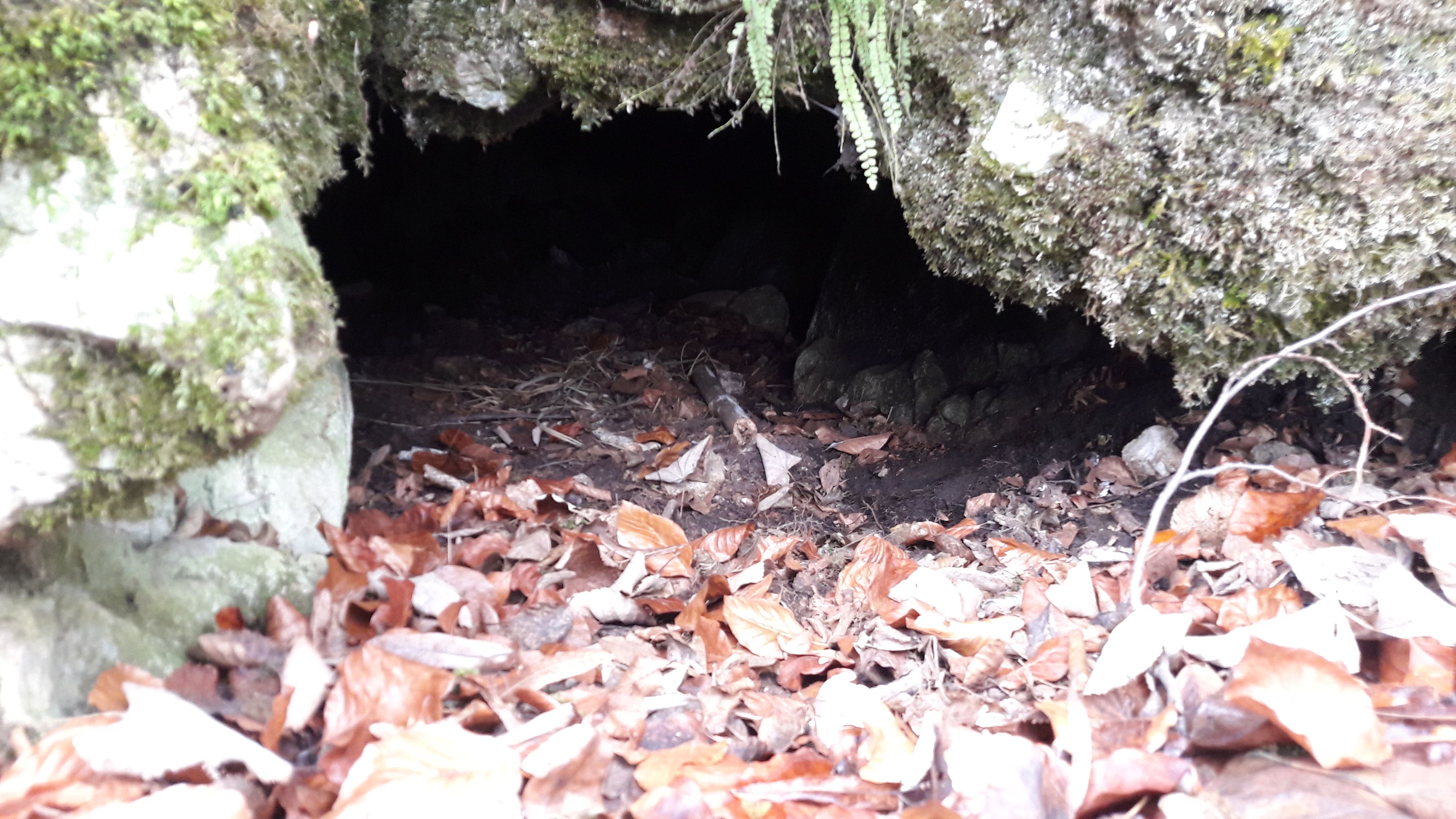 Peștera din Creastă - Image 1